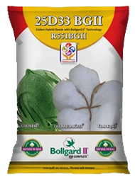 product of Dhanlaxmiseeds