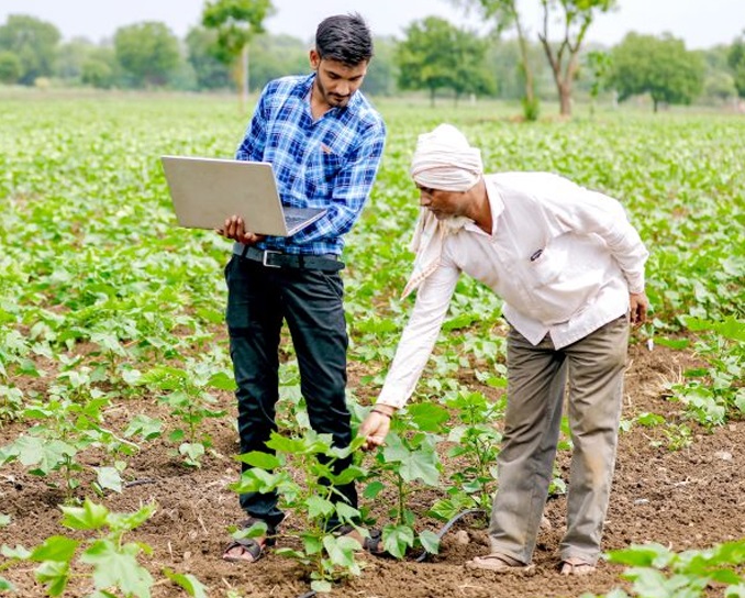 Diverse service of Dhanlaxmiseeds
